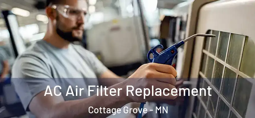 AC Air Filter Replacement Cottage Grove - MN