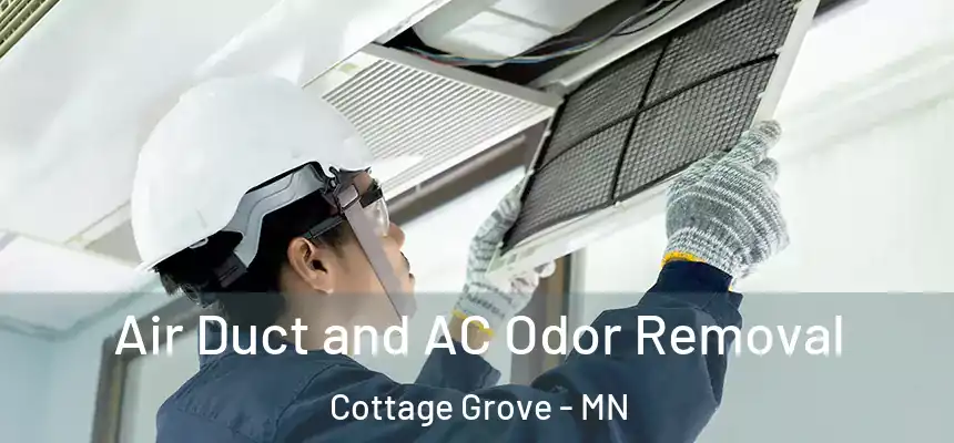 Air Duct and AC Odor Removal Cottage Grove - MN
