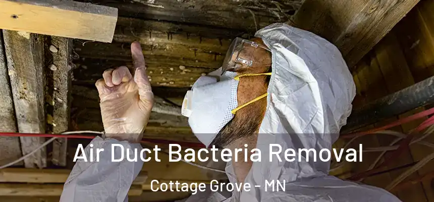 Air Duct Bacteria Removal Cottage Grove - MN