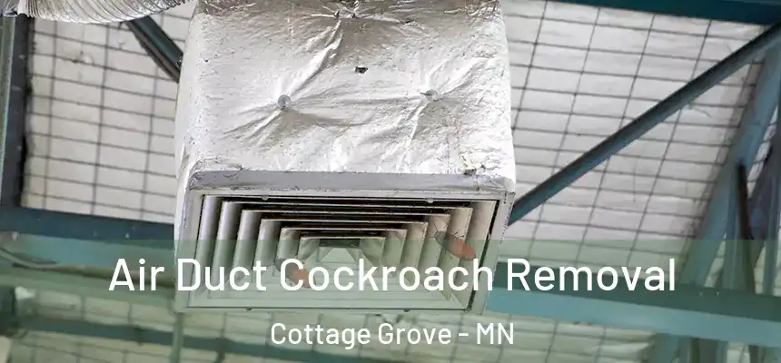 Air Duct Cockroach Removal Cottage Grove - MN