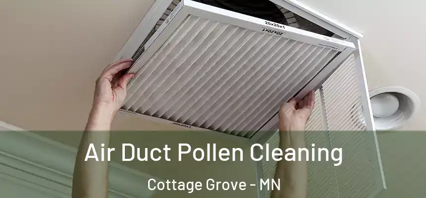 Air Duct Pollen Cleaning Cottage Grove - MN