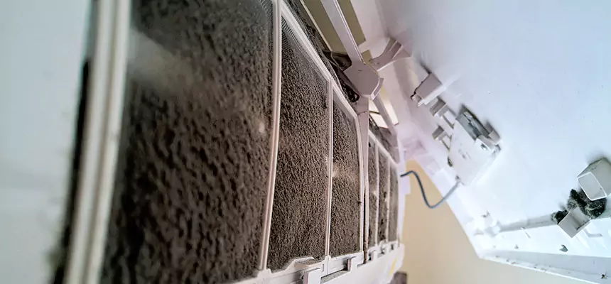 Preventive Air Duct Bacteria Removal in Cottage Grove