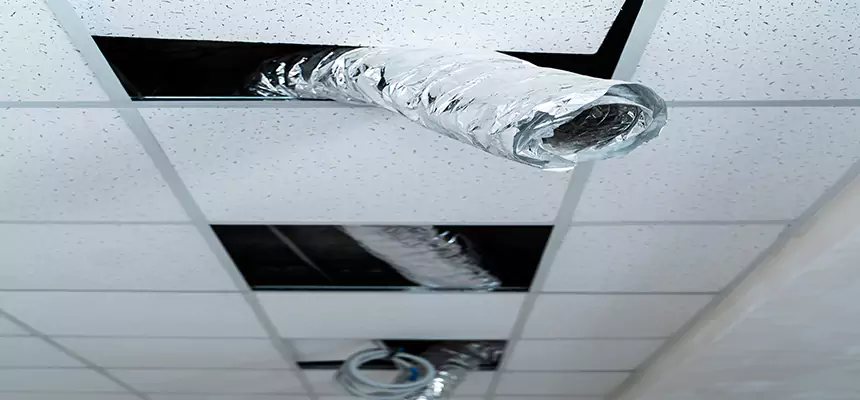 Our Air Duct Pet Hair Removal Services in Cottage Grove, MN