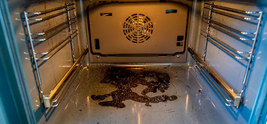 Our Dryer Vent Mold Cleaning Services in Cottage Grove, MN