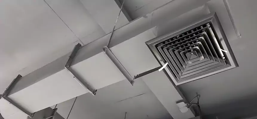 Our Pest Removal From Ducts Services in Cottage Grove, MN