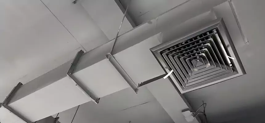 Our Rodent Droppings In Vents Services in Cottage Grove, MN