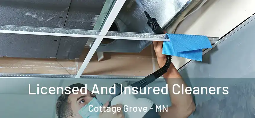 Licensed And Insured Cleaners Cottage Grove - MN