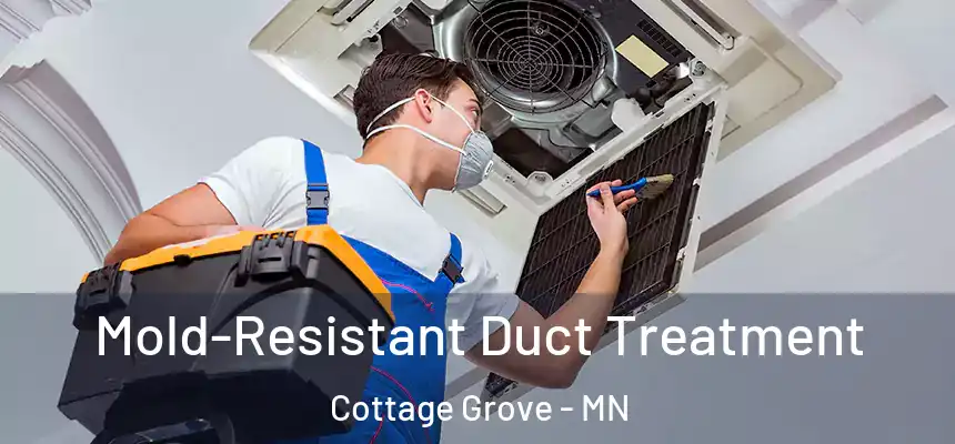 Mold-Resistant Duct Treatment Cottage Grove - MN