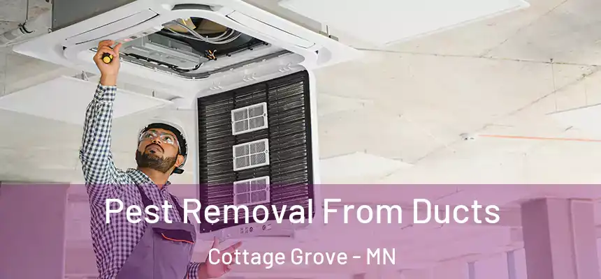 Pest Removal From Ducts Cottage Grove - MN