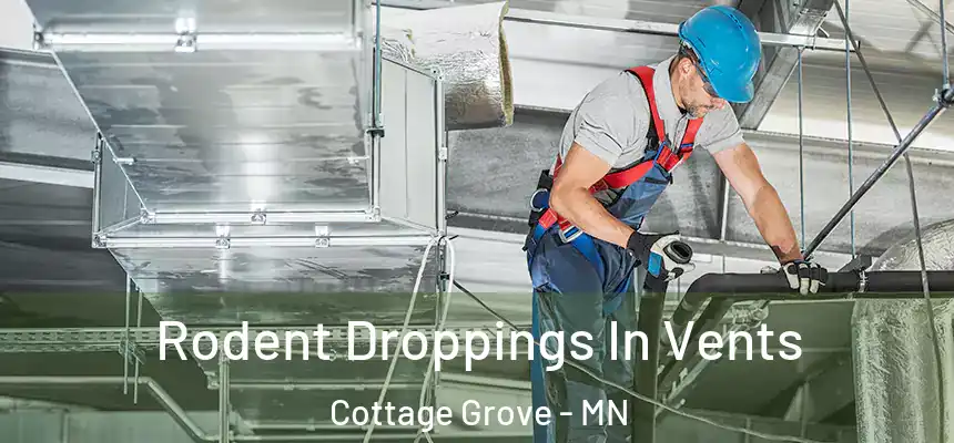  Rodent Droppings In Vents Cottage Grove - MN