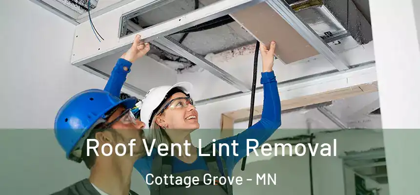  Roof Vent Lint Removal Cottage Grove - MN