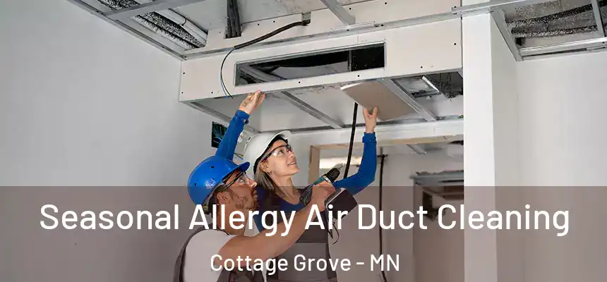 Seasonal Allergy Air Duct Cleaning Cottage Grove - MN