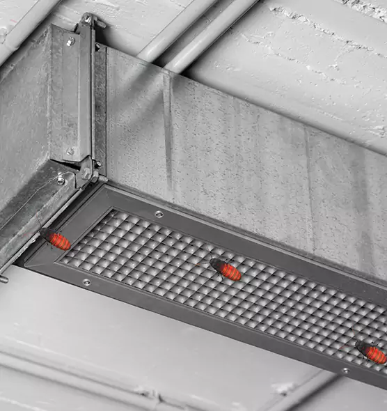 About Air Duct Cockroach Removal in Cottage Grove, MN