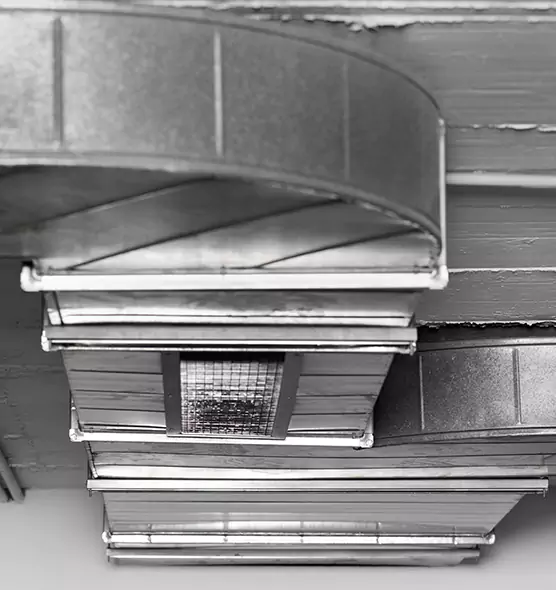 Professional Air Duct Pest Removal in Cottage Grove, MN