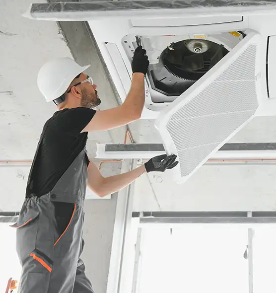 About Air Duct Rodent Removal in Cottage Grove, MN