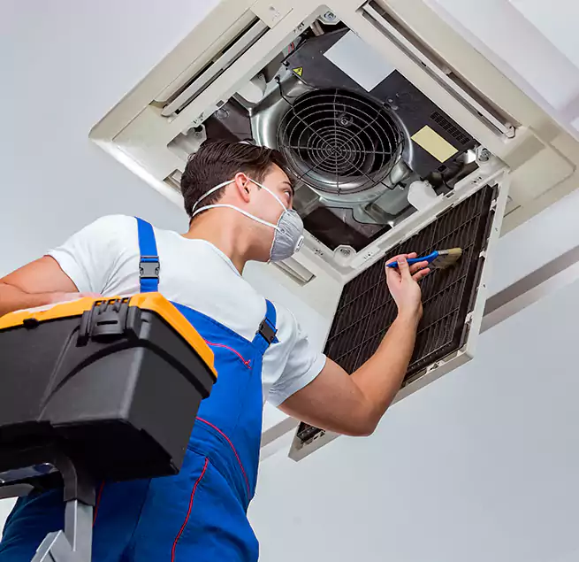 Why Homeowners & Businesses Trust Us in Cottage Grove, MN