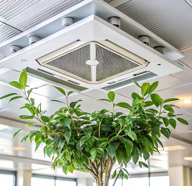 Why Homeowners & Businesses Trust Us in Cottage Grove, MN?