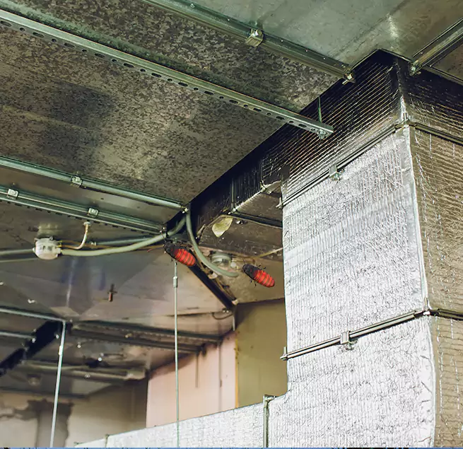 Why Homeowners & Businesses Trust Us Cottage Grove, MN?