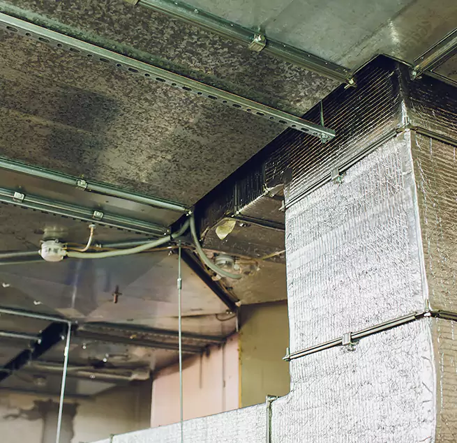 Why Homeowners & Businesses Trust Us in Cottage Grove, MN?